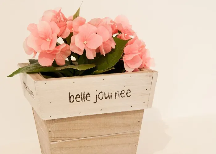 Mimi Nocleg ze śniadaniem