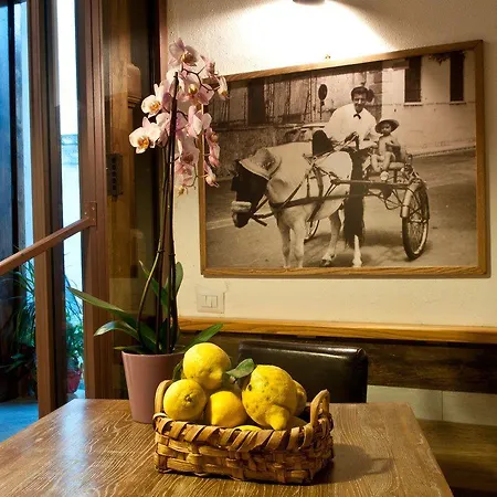 לינה וארוחת בוקר Mimi