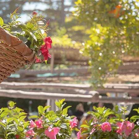 Mimi ベッド・アンド・ブレックファスト 3*