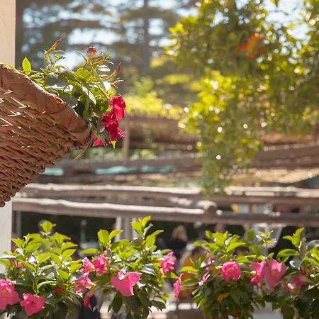 Mimi ベッド・アンド・ブレックファスト